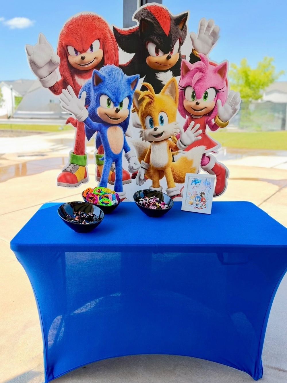 Sonic the Hedgehog Birthday Party Bundle Complete Party Decor Set Sign Balloons
